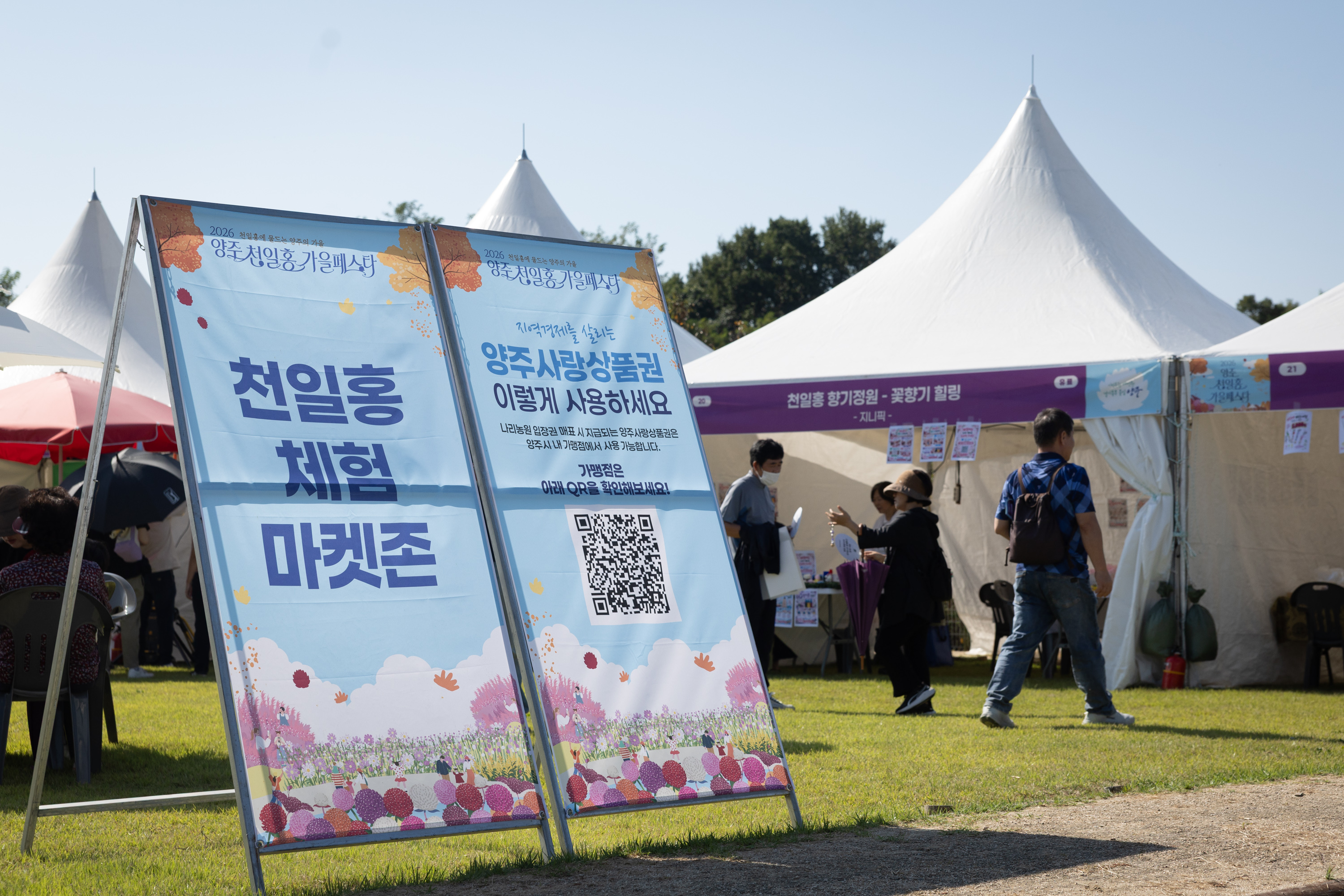 2026 양주 천일홍 가을페스타 이미지3