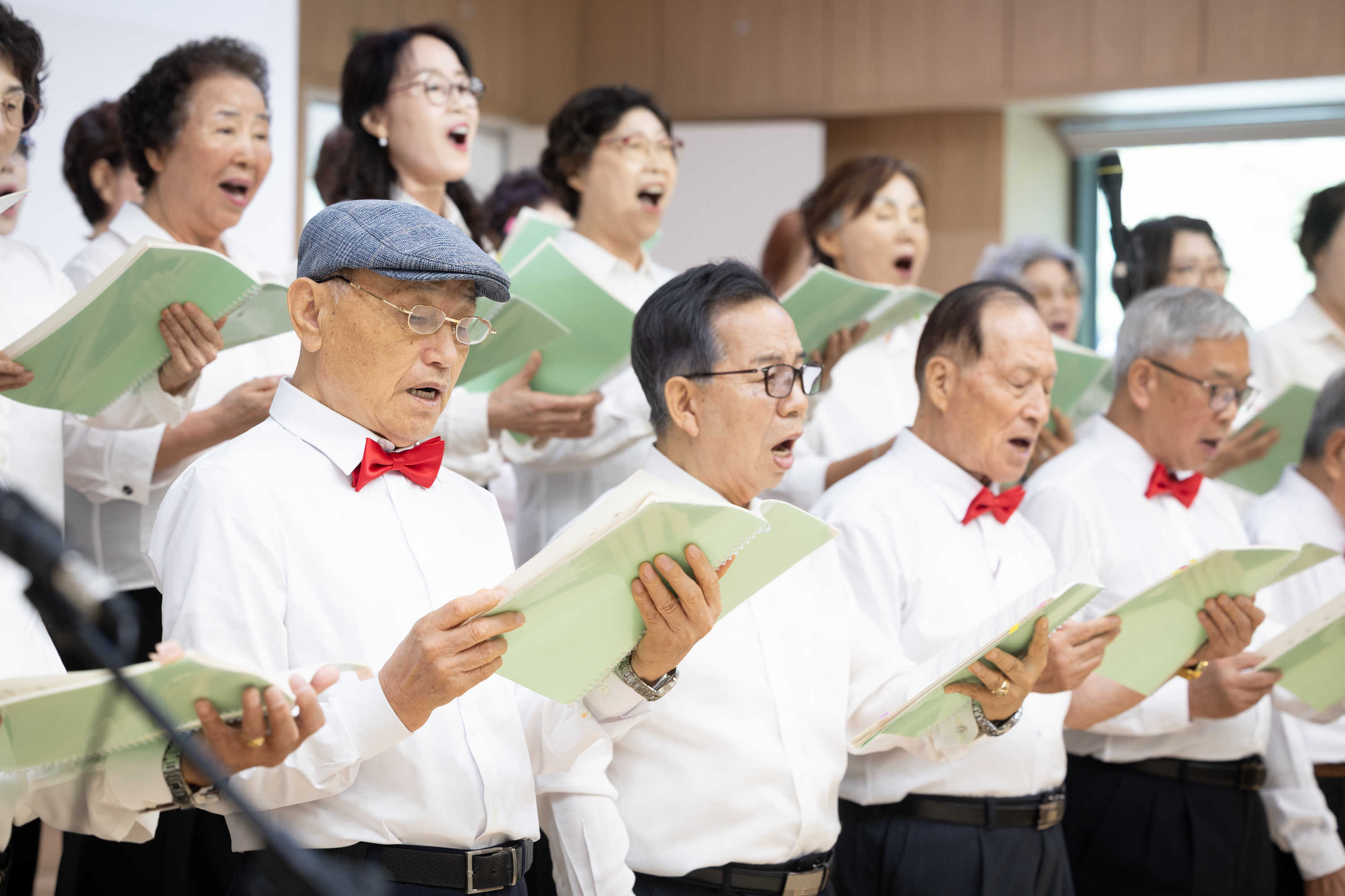 노인의날 기념 제4회 희망다울림 축제 이미지13