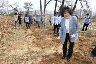 한국자유총연맹 양주지회 한반도 숲 가꾸기 이미지