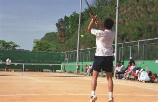 도체전 (궁도, 테니스) 의 사진