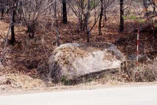 양주 만송리 지석묘군 의 사진
