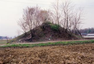 양주 상수리 말무덤 사진