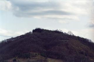 불곡산,나물캐기(백석방성리)01 의 사진
