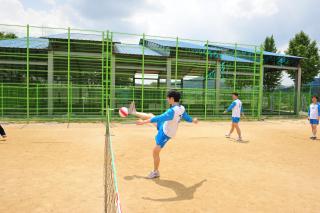 도지사기 공무원 체육대회 의 사진