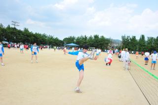 도지사기 공무원 체육대회 의 사진