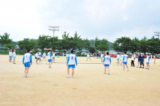 도지사기 공무원 체육대회 의 사진