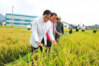 친환경쌀 평가회 의 사진