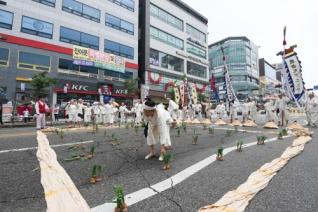 천만송이 천일홍축제 의 사진