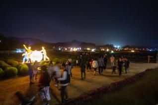 천만송이 천일홍축제 의 사진