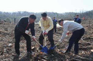 식목일행사 의 사진