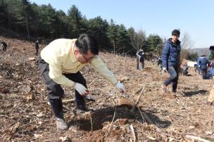 식목일행사 의 사진