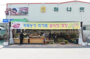 번창농원 및 하훼농가 직거래 꽃시장 의 사진