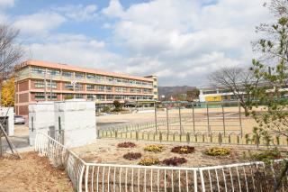 천보초등학교 의 사진