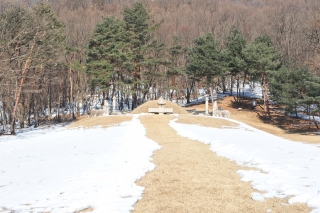 온능제향 의 사진