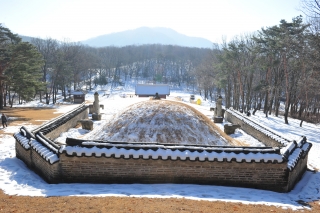온능제향 의 사진