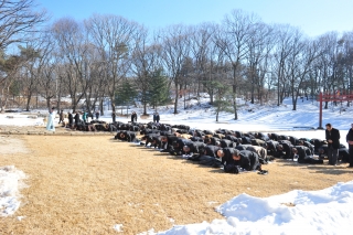 온능제향 의 사진