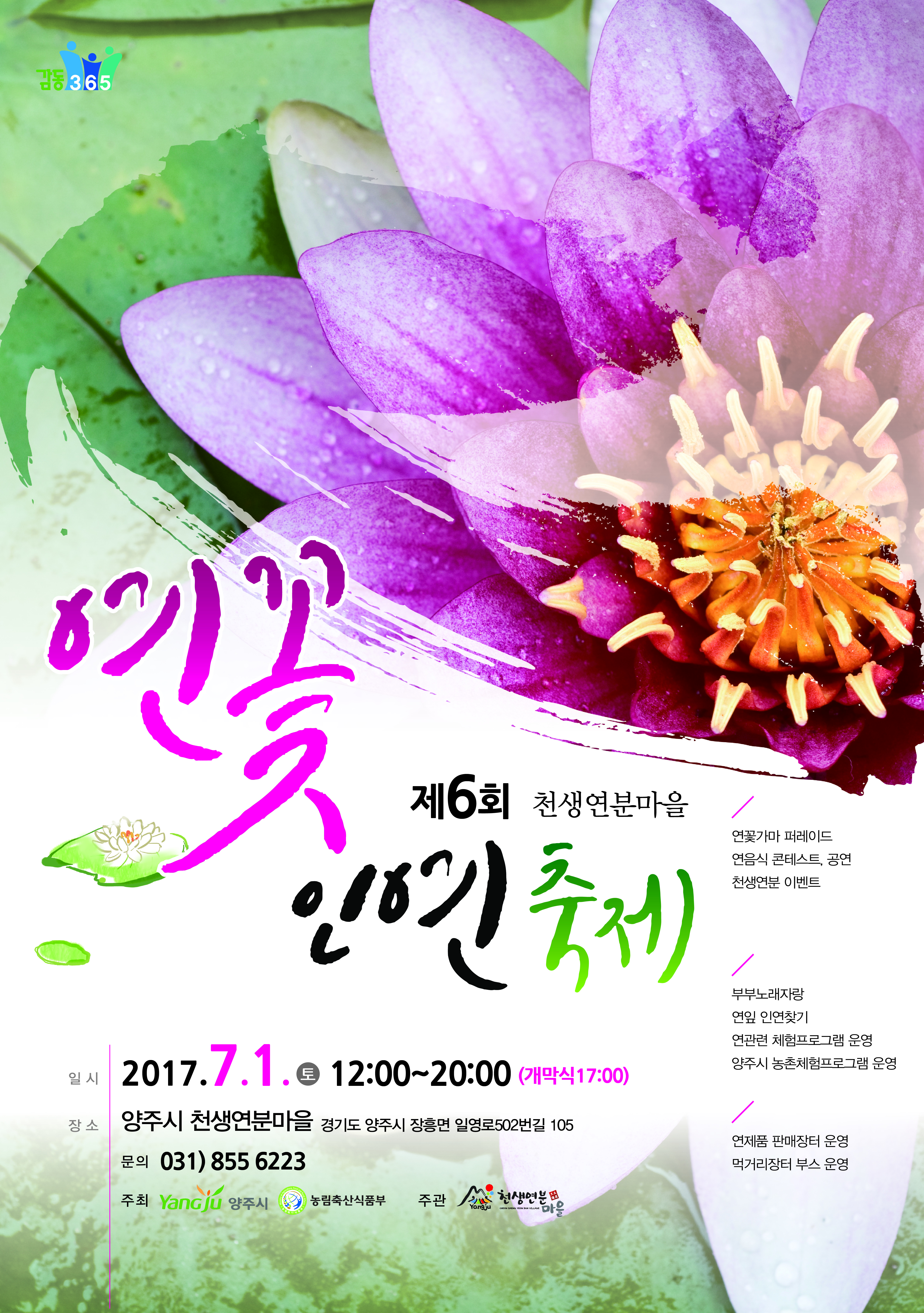 양주시, ‘제6회 천생연분마을 연꽃 인연 축제’ 개최 이미지