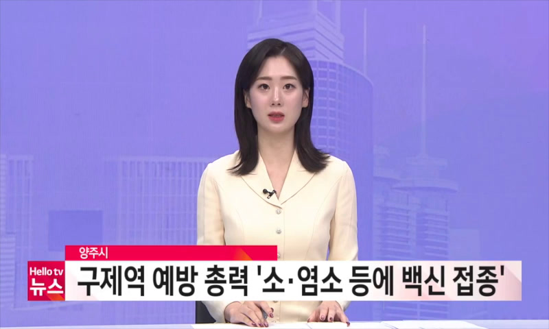 구제역 예방 총력 이미지