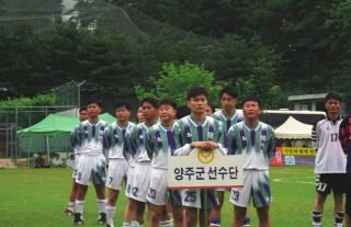 경기도 시,군축구대회01 사진