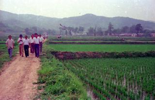 병충해방제연시회04 의 사진