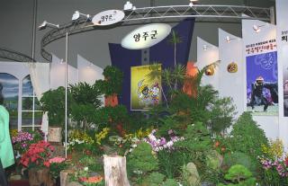 고양꽃 박람회01 의 사진