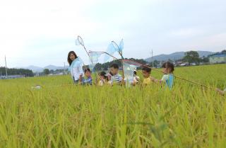 봉암 어린이집 메뚜기잡기01 의 사진