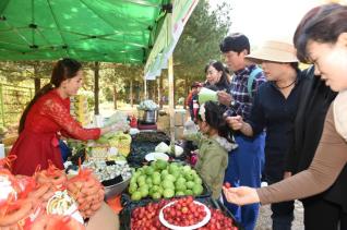 기산리 다문화 음식특화거리 축제 의 사진