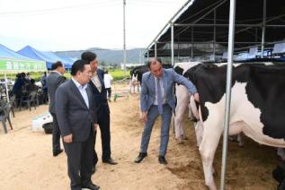 홀스타인 한우 경진대회 의 사진