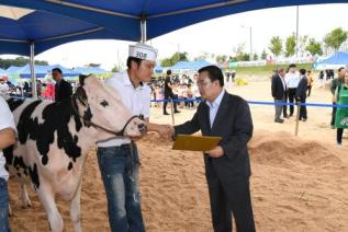 홀스타인 한우 경진대회 의 사진