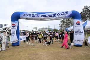 한국 캐니크로스 대회 사진