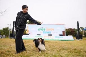 양주시 반려동물 문화축제 사진