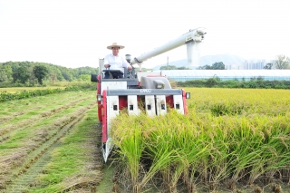 친환경쌀 인증보고회 의 사진