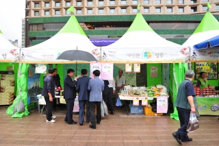 서울시청 농수산물 특별전 의 사진