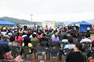 천생연분마을 연꽃축제 의 사진